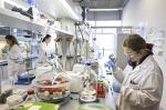 https://old icra website.icradev.cat/files/noticia/NdP patent ICRA grafe 060622 laboratori 350